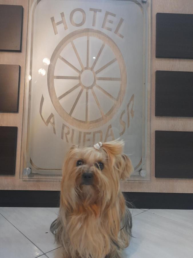 Hotel La Rueda Sr บาร์โบซา ภายนอก รูปภาพ